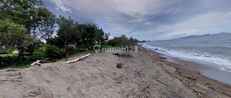 Kavling Tanah Labuan Bajo Dibawah Njop Langka Langsung Pantai Pasir Putih 60.894m2 Komodo Ntt 1