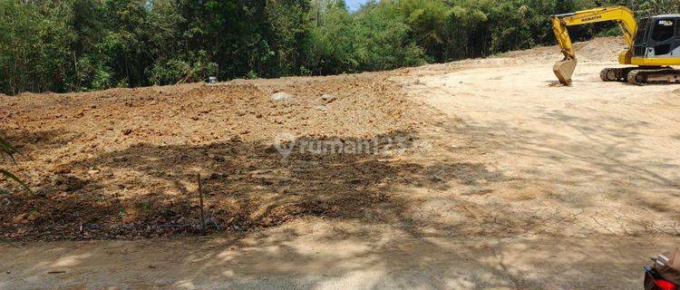 Dijual Tanah Luas Lokasi Strategis di Purworejo, Jawa Timur 1