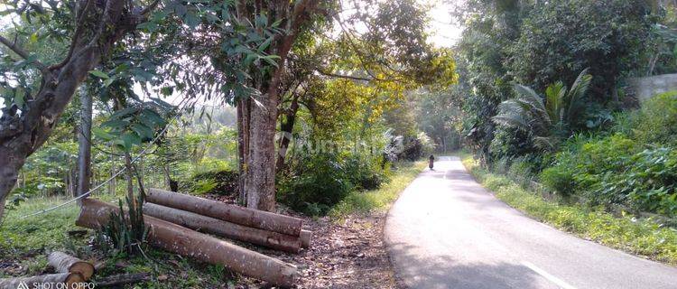 Tanah di Pamarican, Ciamis Cocok Untuk Peternakan 1