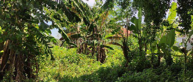 Tanah 34594m2 di tempat Wisata Gunung Payung Cikoneng Ciamis  1