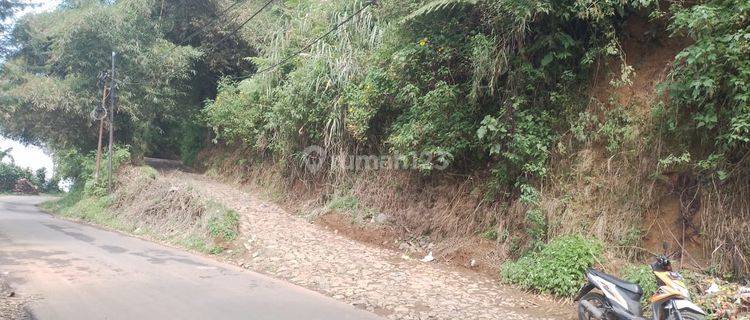 Tanah Murah Luas 53 Hektar SHM Di Sukaraja Sukabumi Dekat Pintu Tol Bocimi 1