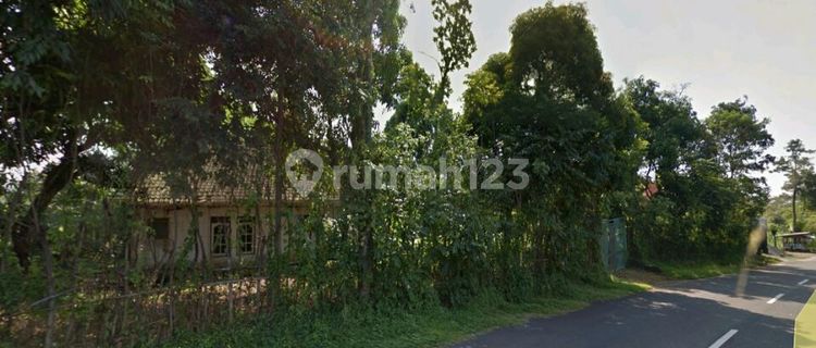 D308. Disewa tanah Jl. Raya Mojosari - Trawas 1