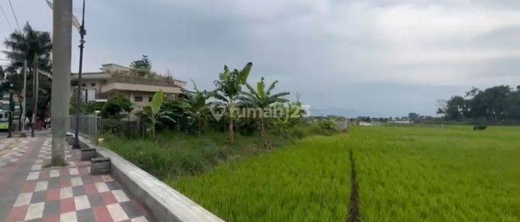 Tanah dikabupaten bandung jl. Alfatu bagus untuk perumahan atau gudang 1