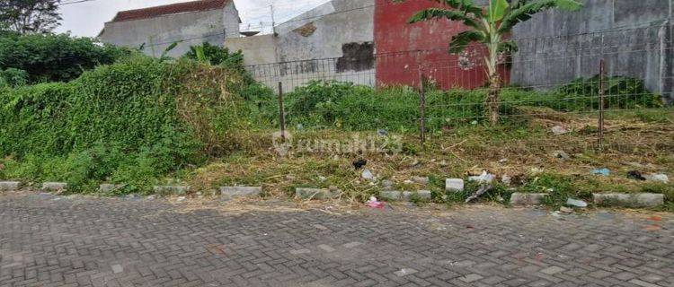 Tanah 5 Jt-an Borobudur Luas 240 Harga Miring 1