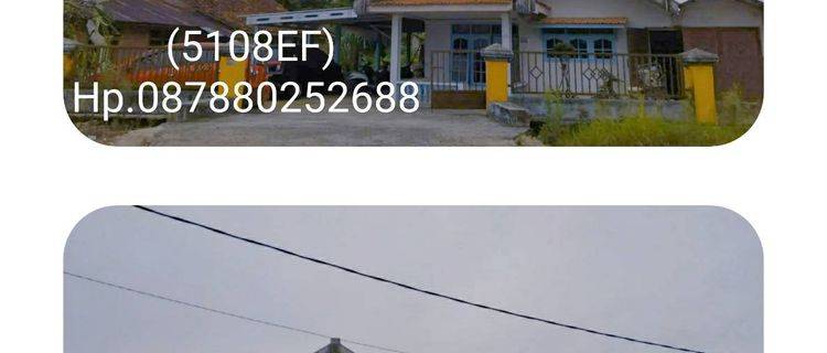 5108ef Rumah Pangkalan Baru Bangka Tengah Bangka  1