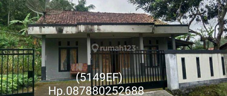 5149ef Rumah Bagus Karangpucung Cilacap Jawa Tengah  1