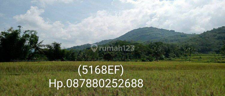 5168ef Tanah di Selaawi, Garut, Jawa Barat 5.600 m² 1