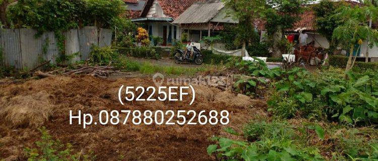 5225ef Tanah SHM di Sirau, Pemalang, Jawa Tengah  1