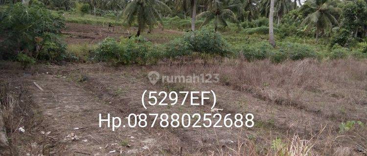 5297ef Tanah di Waru, Penajam Paser Utara, Kalimantan Timur SHM 1