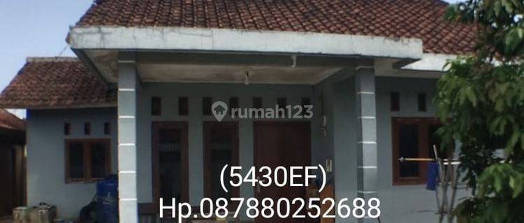 5430ef Rumah SHM di Leuwiliang, Bogor, Jawa Barat 1