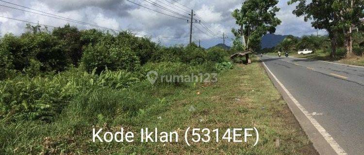 5314ef Tanah SHM di Anjongan, Mempawah, Kalimantan Barat  1