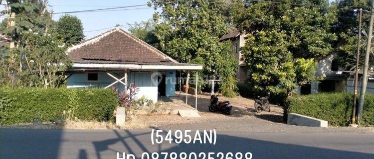 5495an Rumah SHM di Arjasa, Jember, Jawa Timur 1