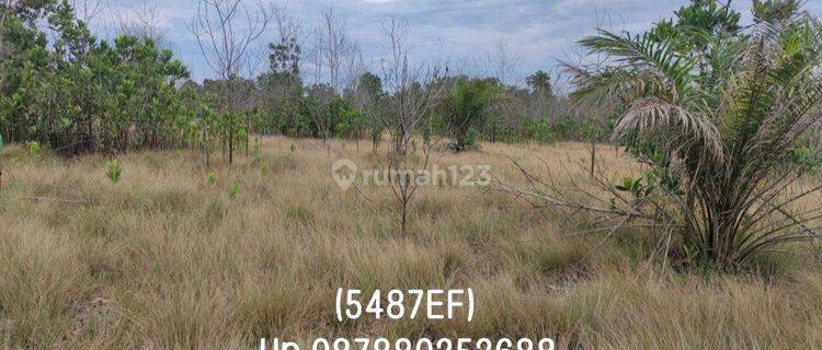 5487ef Tanah di Riding Panjang, Merawang, Bangka 300 m² 1