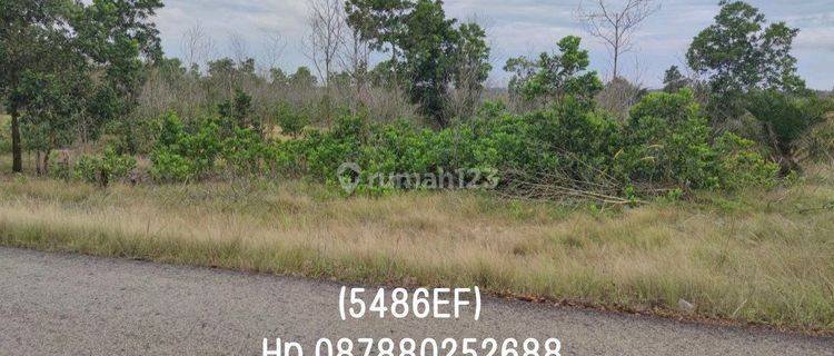 5486ef Tanah di Riding Panjang, Merawang, Bangka 250 m² 1