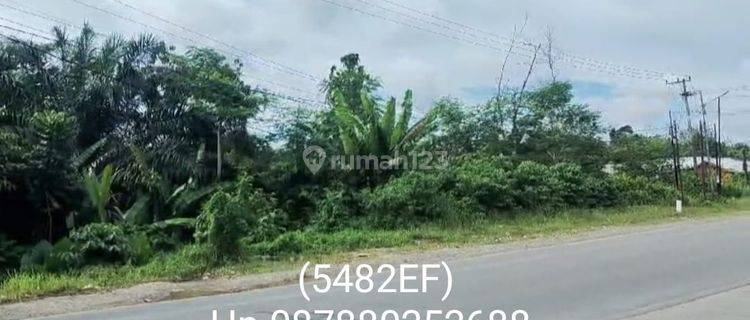 5482ef Tanah di Balikpapan Selatan, Kalimantan Timur, 3.312 m² 1