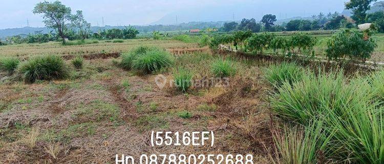 5516ef Tanah Pancalang, Kuningan SHM 1952 m2 1