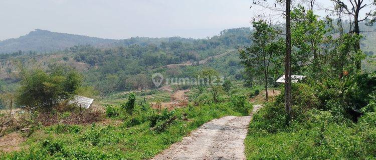 Dijual Cepat Tanah di Desa Sukamakmur, Jonggol, Kabupaten Bogor 1