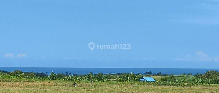 BEAUTIFUL LAND WITH SEA VIEW 1