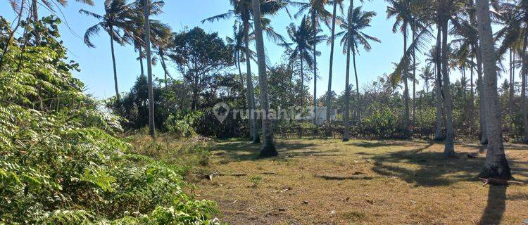 ABSOULUTLY BEACH FRONT LAND 1