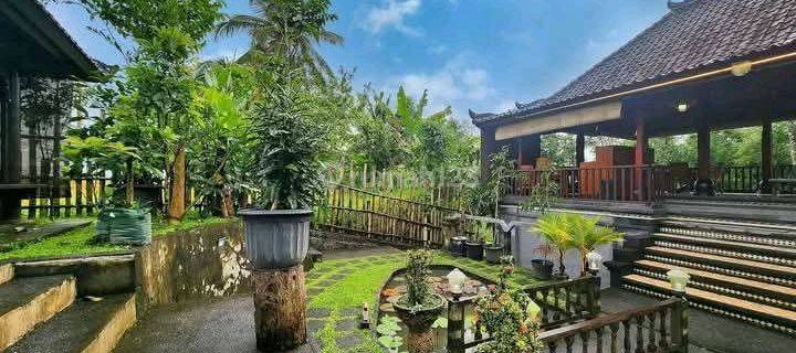 Beautiful Villa River Side, Rice Field And Mountain View 1