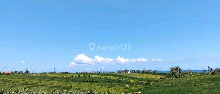 Beautiful Land With Amazing Sea View 1