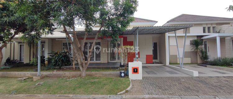 Rumah Bagus Cluster Rafflesia Graha Padma, Semarang Barat 1