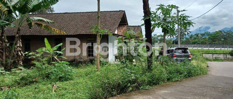 RUMAH LAHAN LUAS UJUNG-UJUNG SALATIGA 1