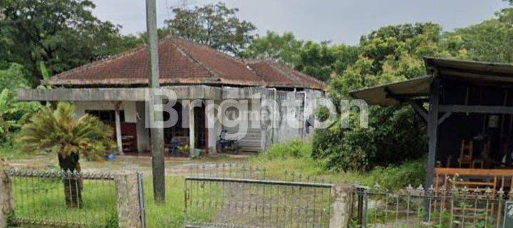 RUMAH PLUS RUMAH BOJA COCOK UNTUK INVESTASI 1
