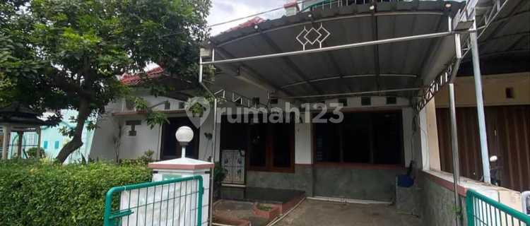 Rumah Sewa Graha Estetika Dengan Banyak Kamar Siap Huni 1