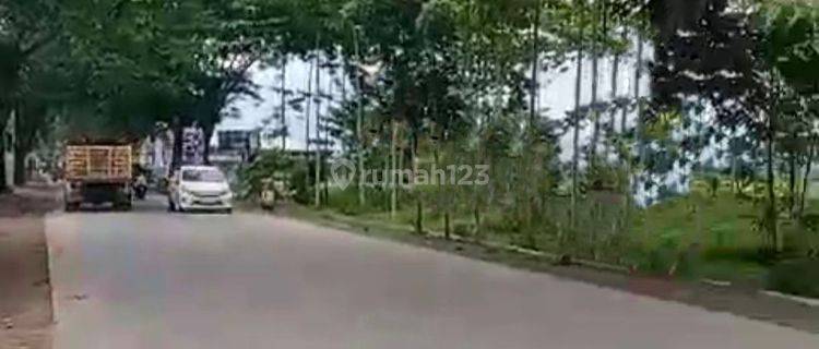 Turun Harga - Jual Tanah Mainroad Jl Raya Cicalengka Siap Bangun Area Gudang/Pabrik/Perumahan - Jalan Provinsi 1