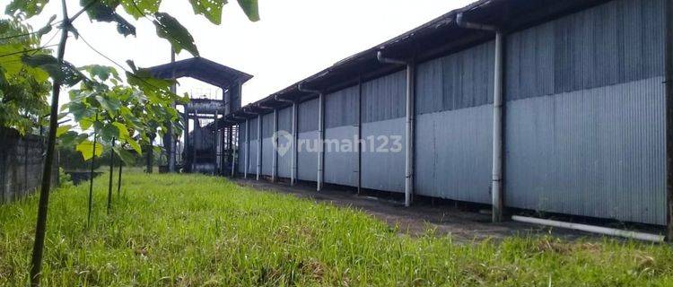 Turun Harga - Jual Gudang Sukabumi Ex Pabrik Plywood  - Luas Dan Siap Pakai . Ijin Aktif. Sangat Murah 1