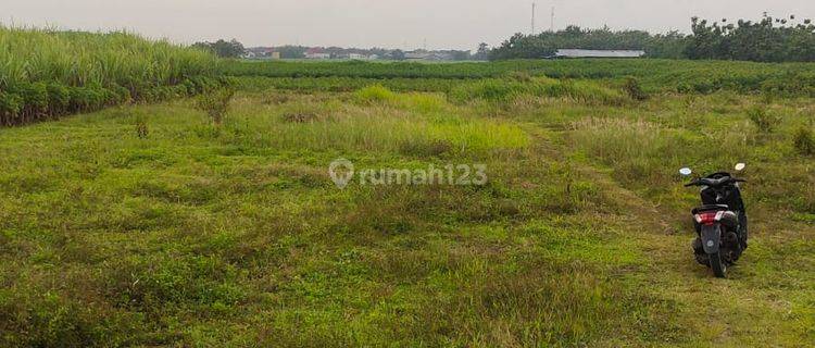 Tanah Industri Mayong Jepara Jawa Tengah  1