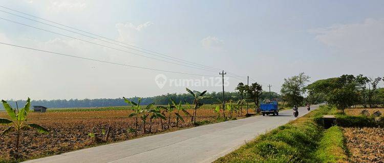 Jual Tanah Industri Murah Grobogan Jawa Tengah  1