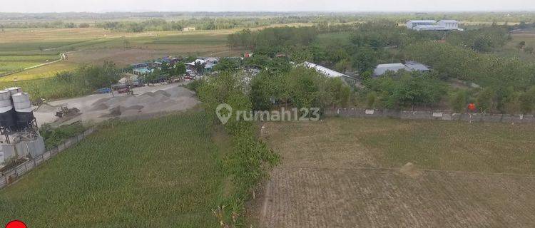 Jual Tanah Industri Jawa Tengah Grobogan  1