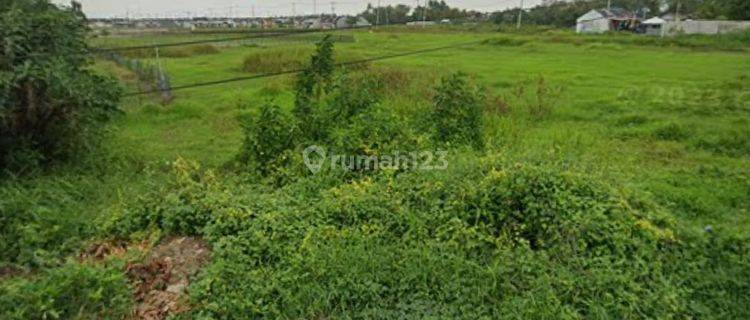 Lahan di Cikarang Jawa Barat, Cocok Buat Perumahan Dan Ruko Komersial 1