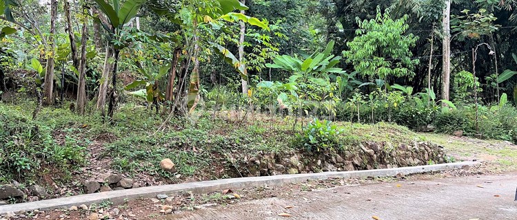 Jual Tanah 75 Juta Mojogedang Karanganyar 1