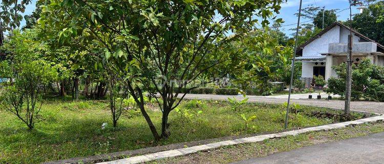 Tanah 80 Juta Bonus Kebun Buah Karanganyar 1