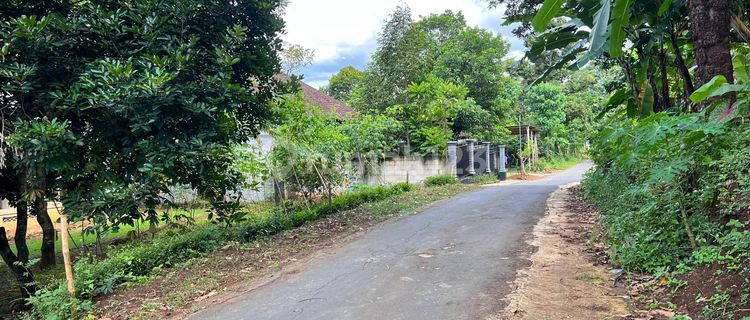 Tanah 234m² Bonus Kebun Buah Kerjo Karanganyar 1