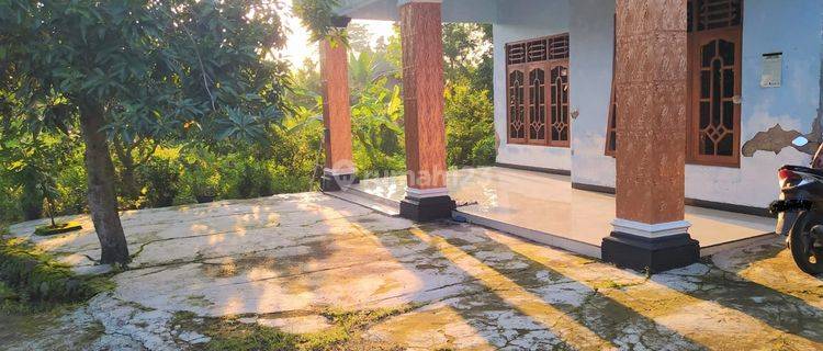 Rumah Mewah 450m2 Siap Huni Masaran Sragen 1