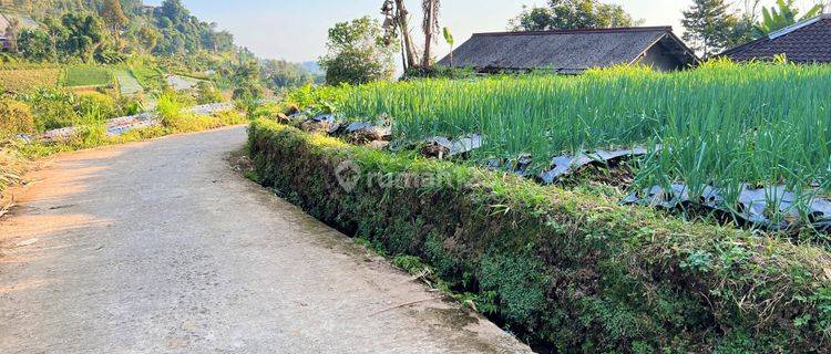 Tanah Datar Kemuning Ngargoyoso Karanganyar 1