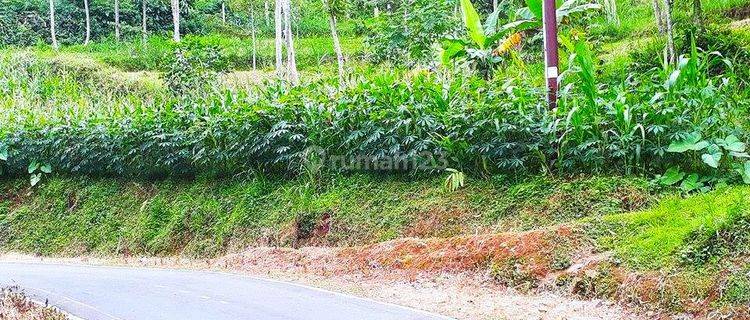 Tanah Tepi Jl Kerjo sambirejo Kerjo Karanganyar 1