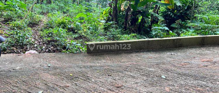 Kebun Durian 2233m² Hanya 350 Juta Kemuning Karanganyar 1