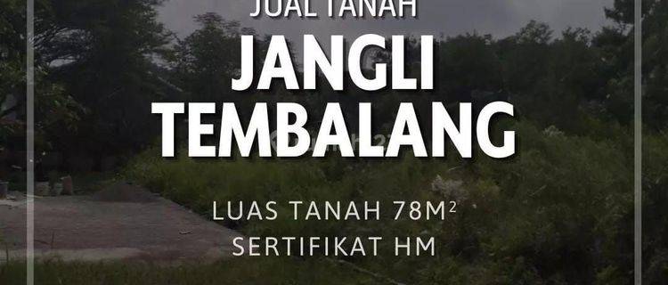 Tanah di jual di Jangli Tembalang Siap bangun di Semarang kota 1