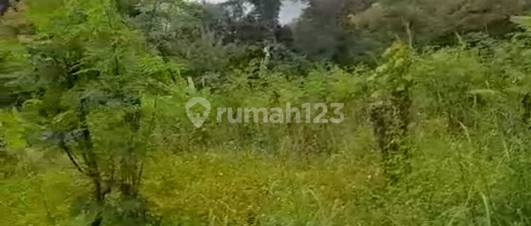 Tanah Dijual Murah Di Tlumpak Kedungmundu Dekat Perumahan Padat Penduduk  1