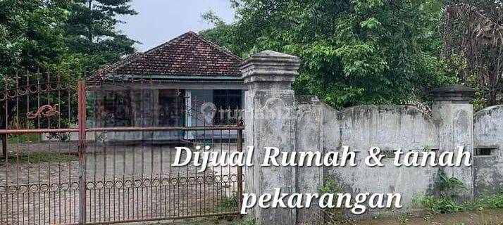 Rumah Dan Pekarangan Luas Desa Badas Sumobito Jombang Hadap Selatan SHM 1