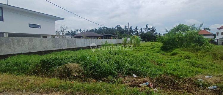 Pejengkawan Gianyar, dekat Centre of Ubud cocok untuk Vila 1