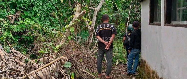 Tanah Tegalan Zona Kuning Lodtunduh Ubud Shm Area Tenang Cocok Untuk Vila 1