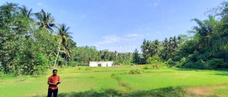 Kavling Murah Dekat Rs Nyi Ageng Serang Kulon Progo 1