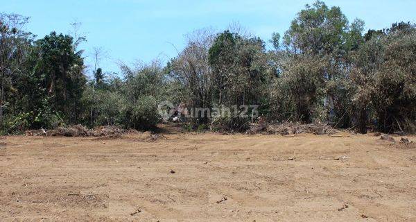 Dijual Tanah Dekat Perkantoran Bandara Baru Yia 1