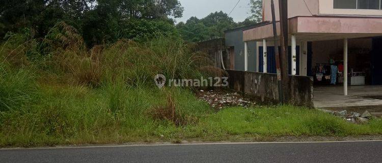 Lahan Samping Kantor Desa Kehutanan Pangkal Pinang 1